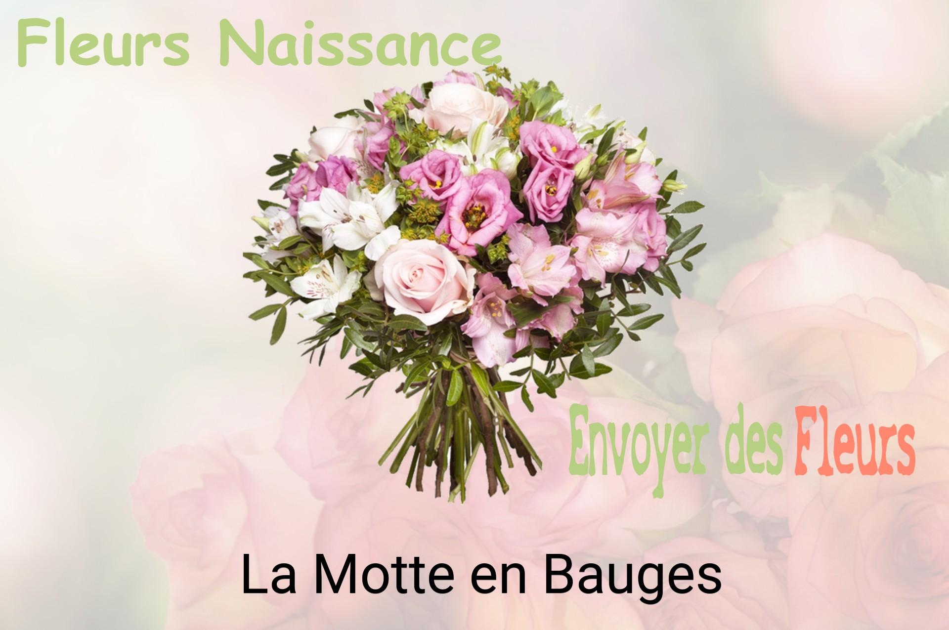 Bouquet de fleurs de naissance livré à La Motte-en-Bauges